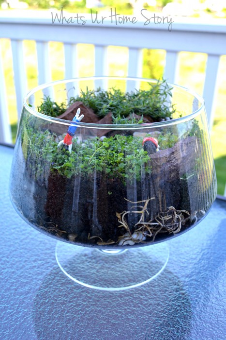 Miniature Garden Terrarium