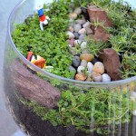 DIY Terrarium, Open jar terrarium, terrarium with clay figurines,How to make a terrarium, air dry clay figurines, corsican mint, Orange scented Thyme