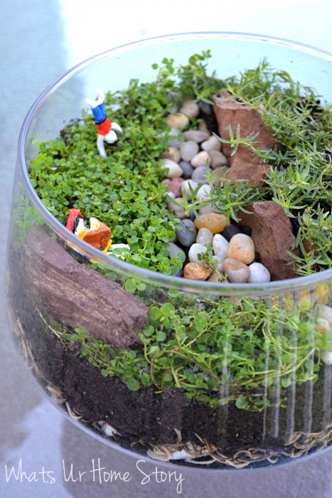 Miniature Garden Terrarium