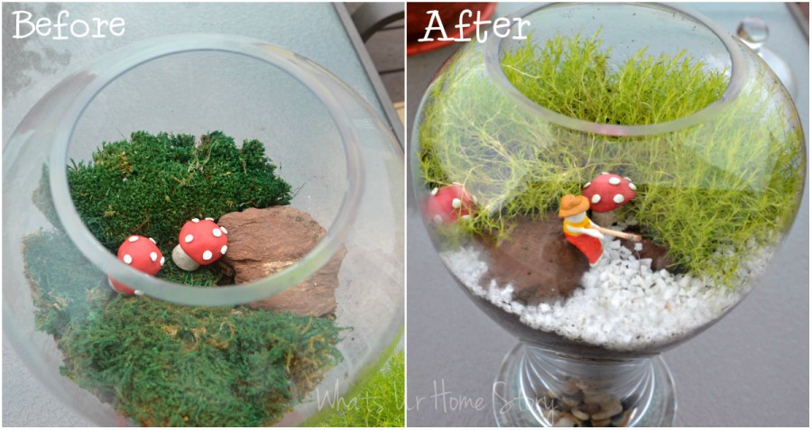 Yet Another Moss Terrarium