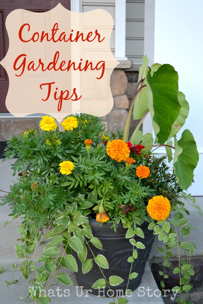 Container Gardening