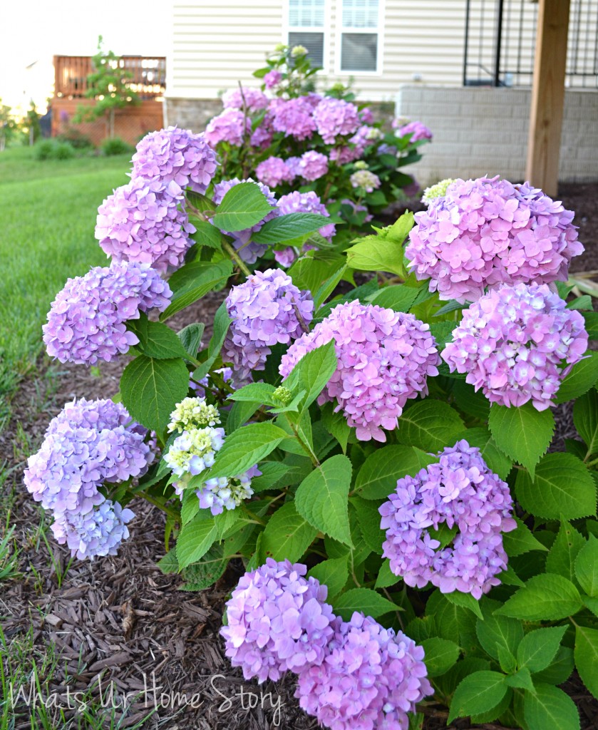 How Safe is Your Garden?