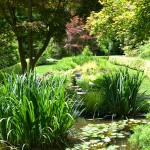 Whats Ur Home Story: Ladew Gardens, Japanese garden