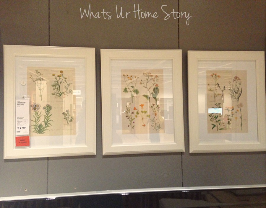 Whats Ur Home Story: Botanical prints IKEA