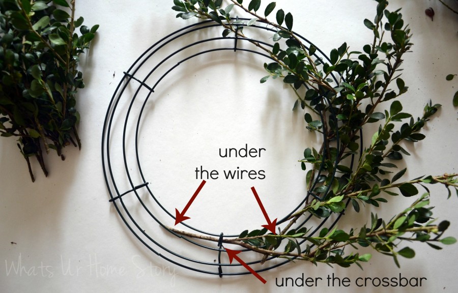 DIY Boxwood Wreath