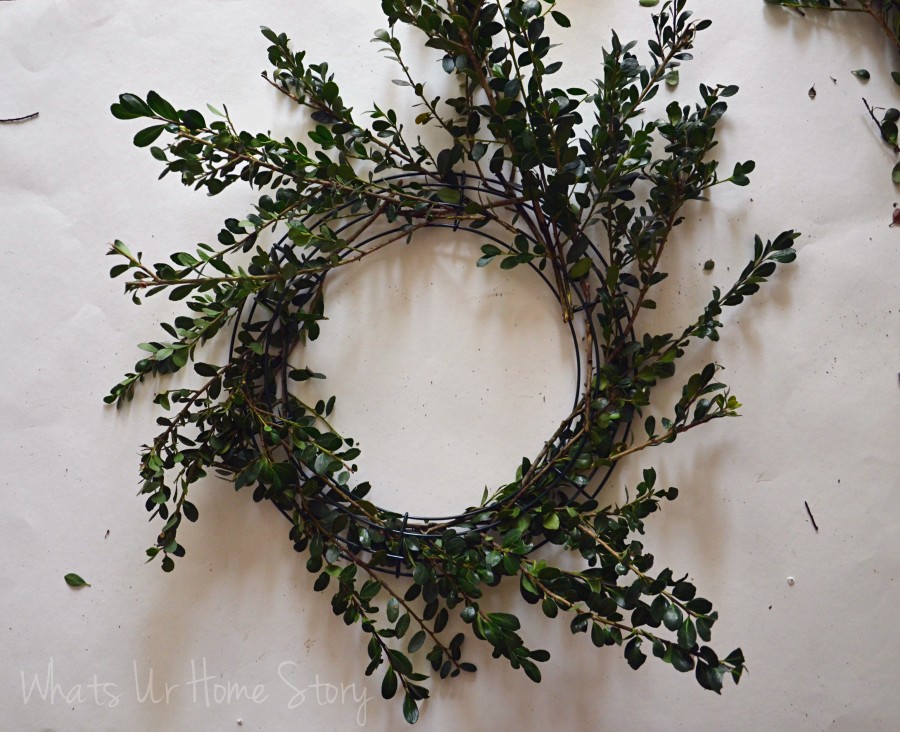 DIY Boxwood Wreath