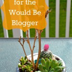 Blogging