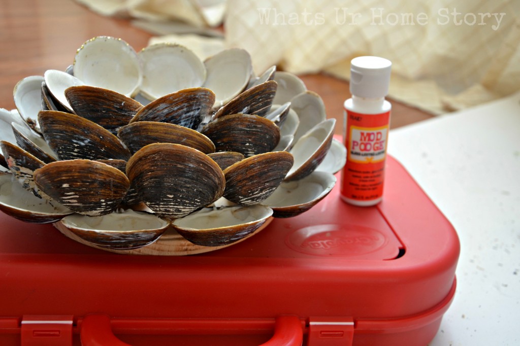 Seashell Candle Holder