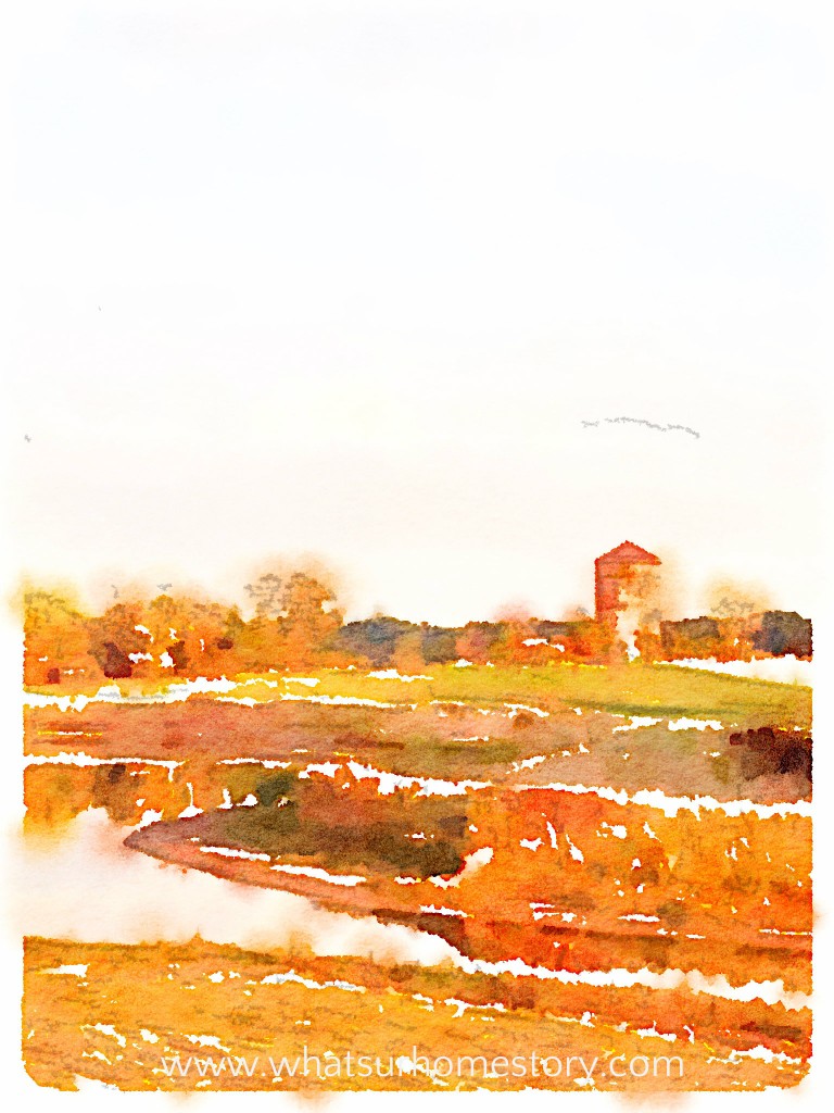 Turn Any Photo into Watercolor with Waterlogue