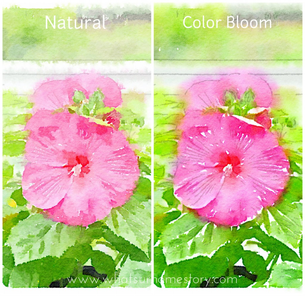 Turn Any Photo into Watercolor with Waterlogue