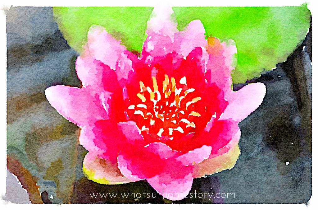 Turn Any Photo into Watercolor with Waterlogue