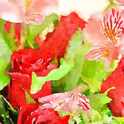 Painted in Waterlogue, Waterlogue app, Turn Any Photo into Watercolor