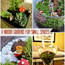 Pinspiration 15th   Garden Planters