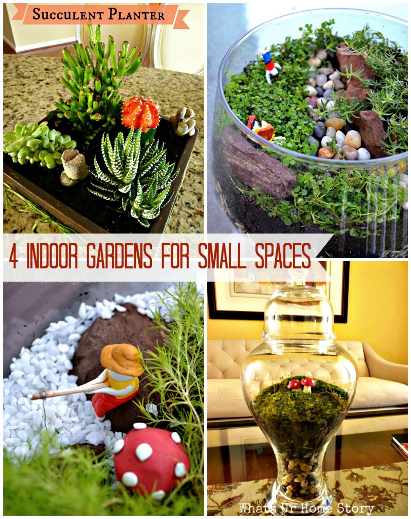 4 Indoor Gardens for Small Spaces