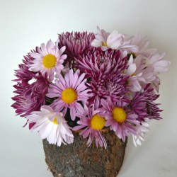 simple daisy centerpiece