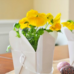 Pinspiration   Spring Decor