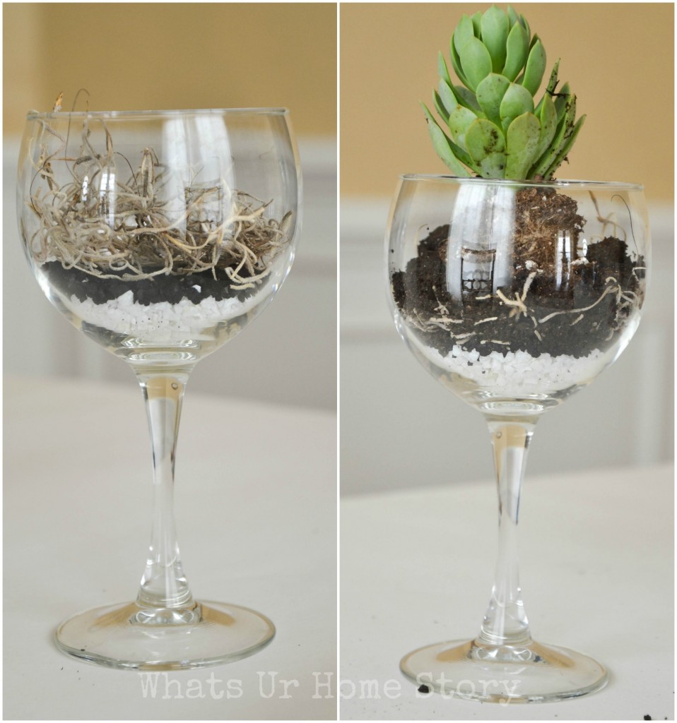 Wine Glass Planter + $50 Safeway Giveaway