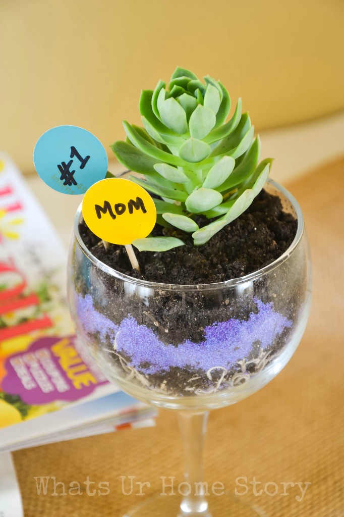 Wine Glass Planter + $50 Safeway Giveaway