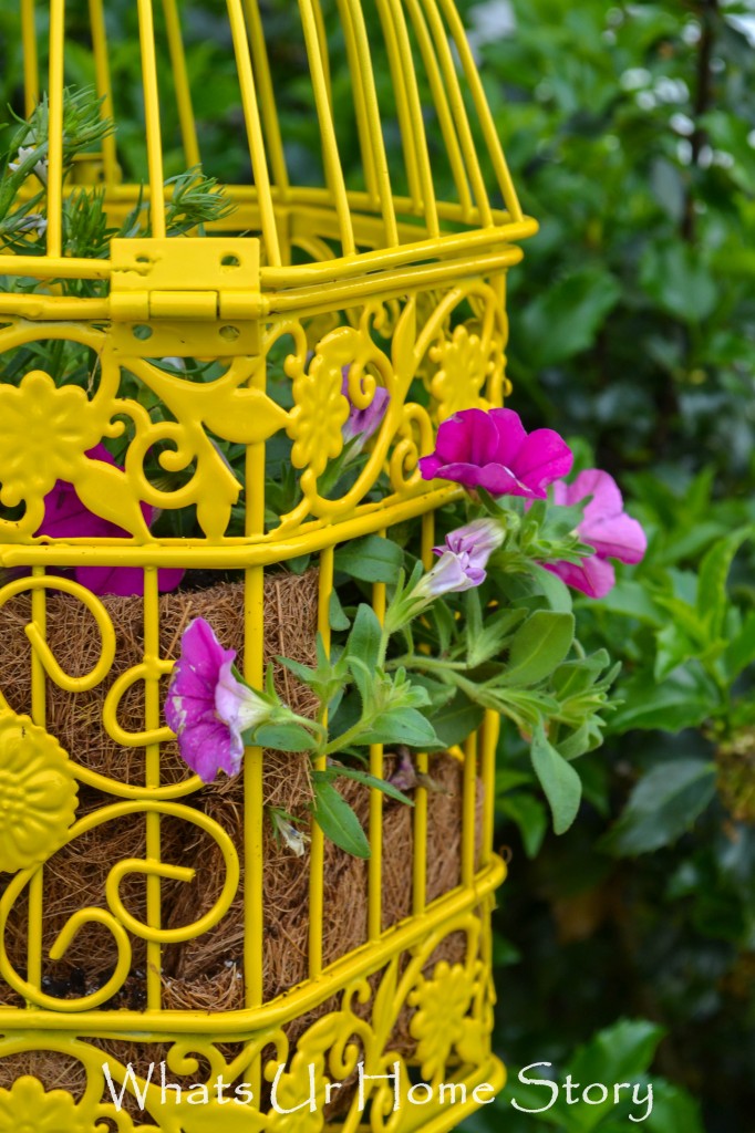 Bird Cage Planter