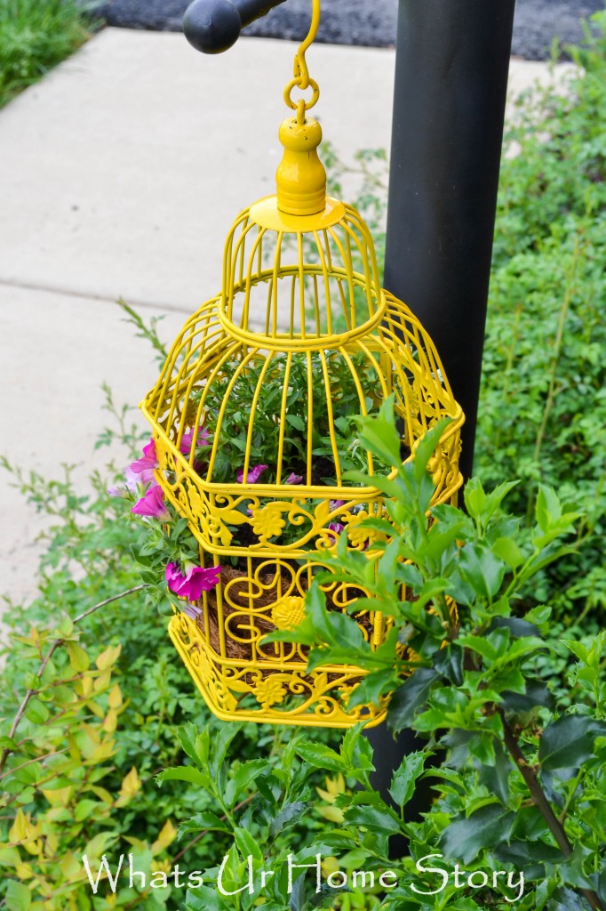 Bird Cage Planter