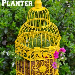 Bird Cage Planter