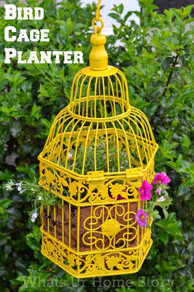 Bird Cage Planter