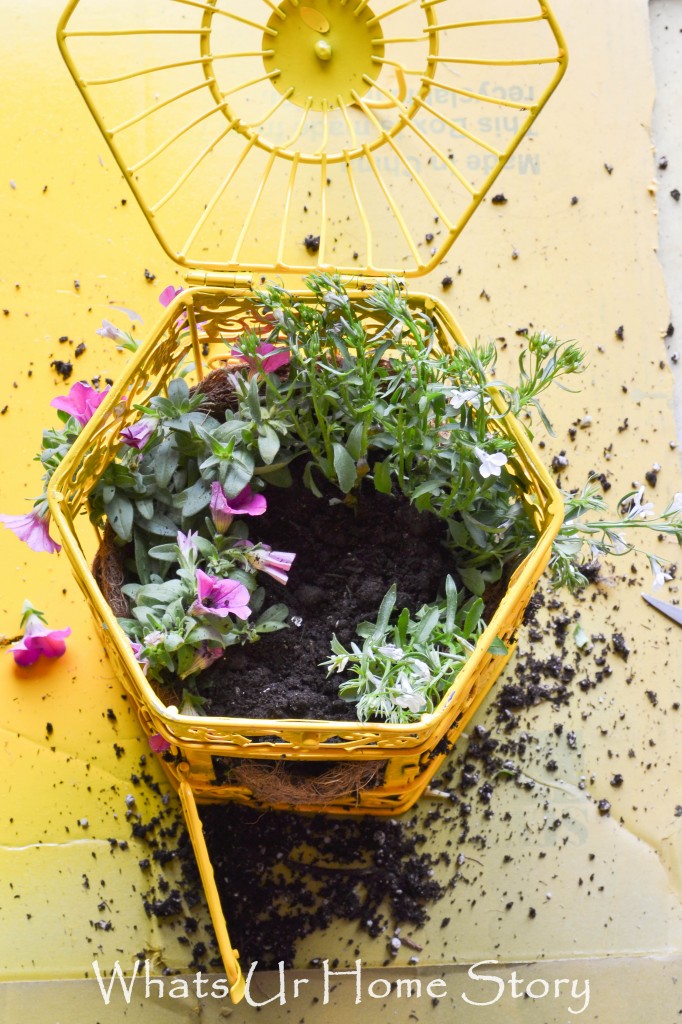 Bird Cage Planter