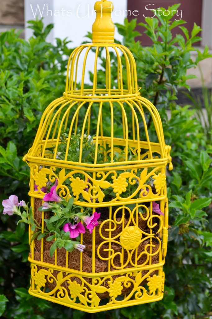 Bird Cage Planter
