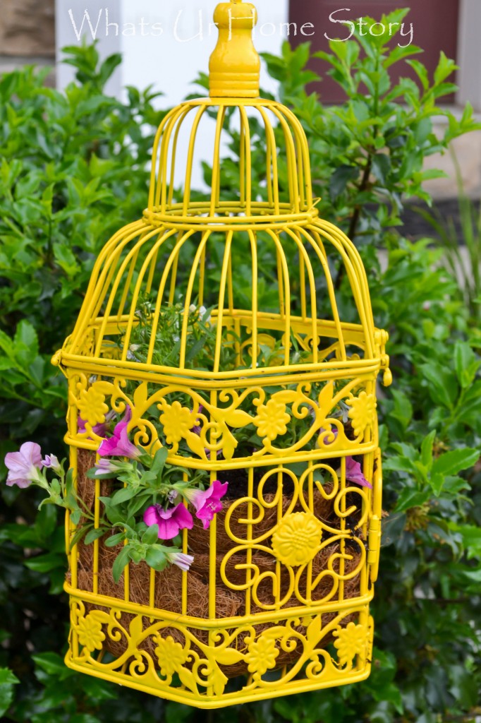 Bird Cage Planter