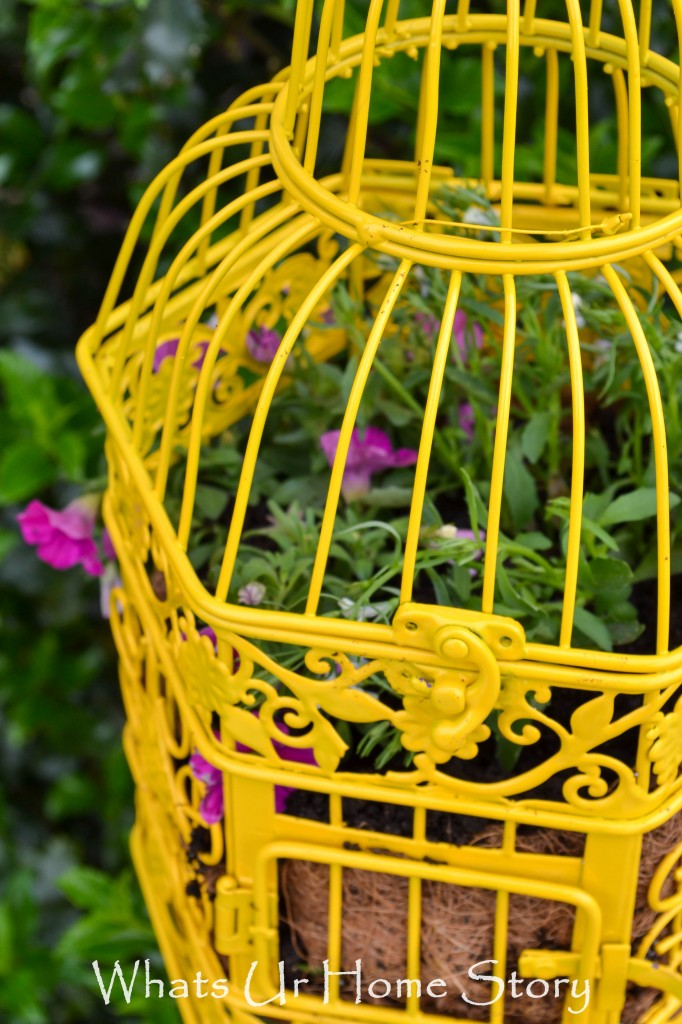 Bird Cage Planter