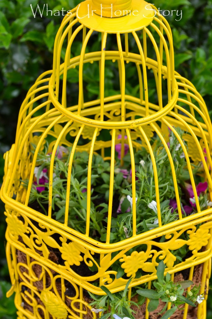 Bird Cage Planter