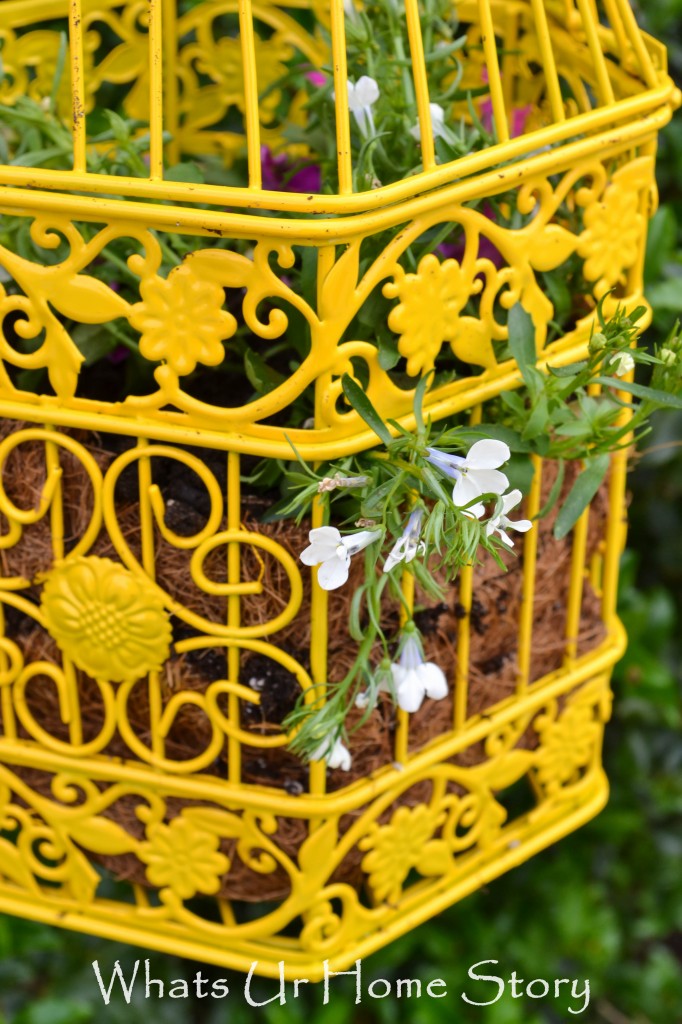 Bird Cage Planter