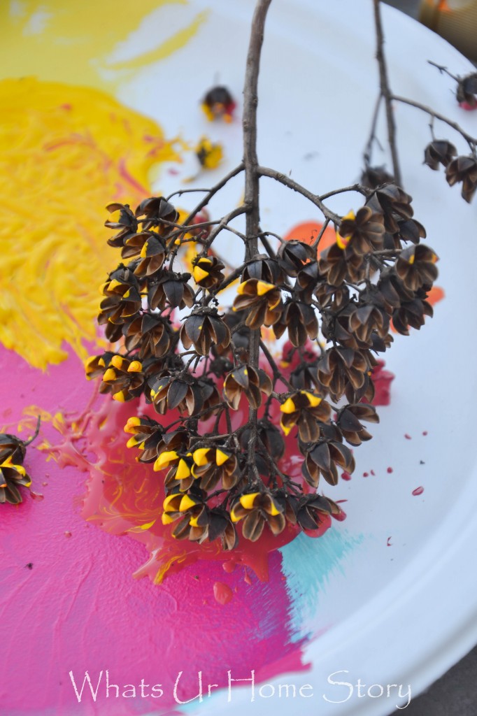 Painted Dried Flowers