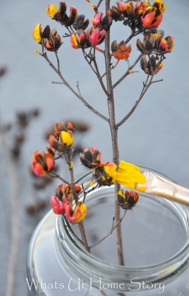 Painted Dried Flowers