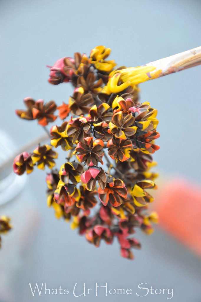 Painted Dried Flowers