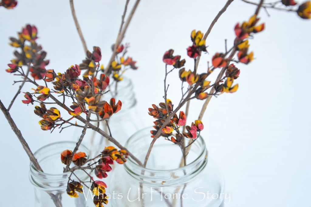 Painted Dried Flowers