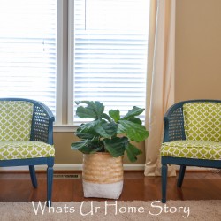 cane chair makeover with paint