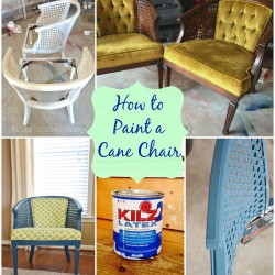 paint a cane chair