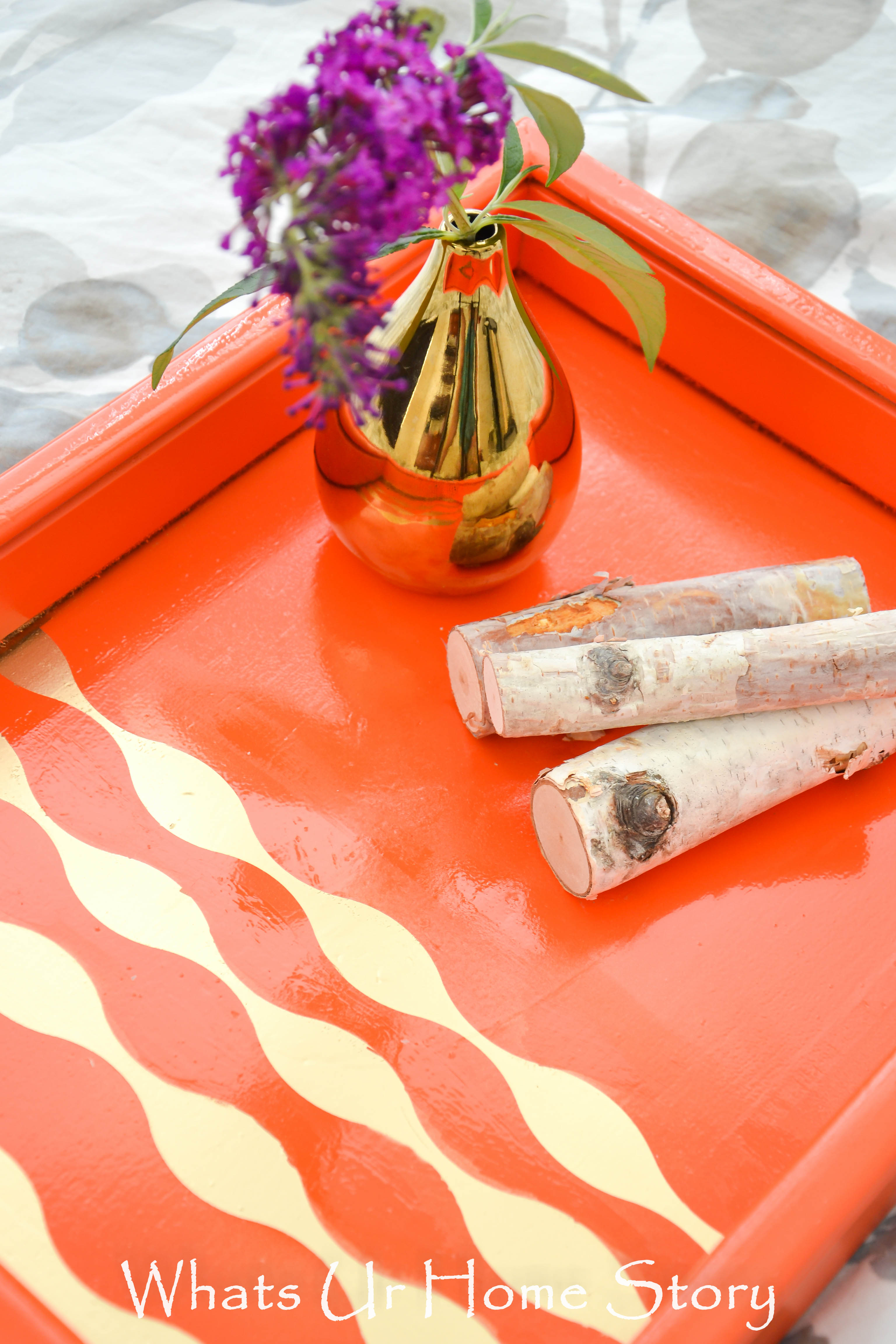 DIY Tray Makeover Using Paint Tutorial