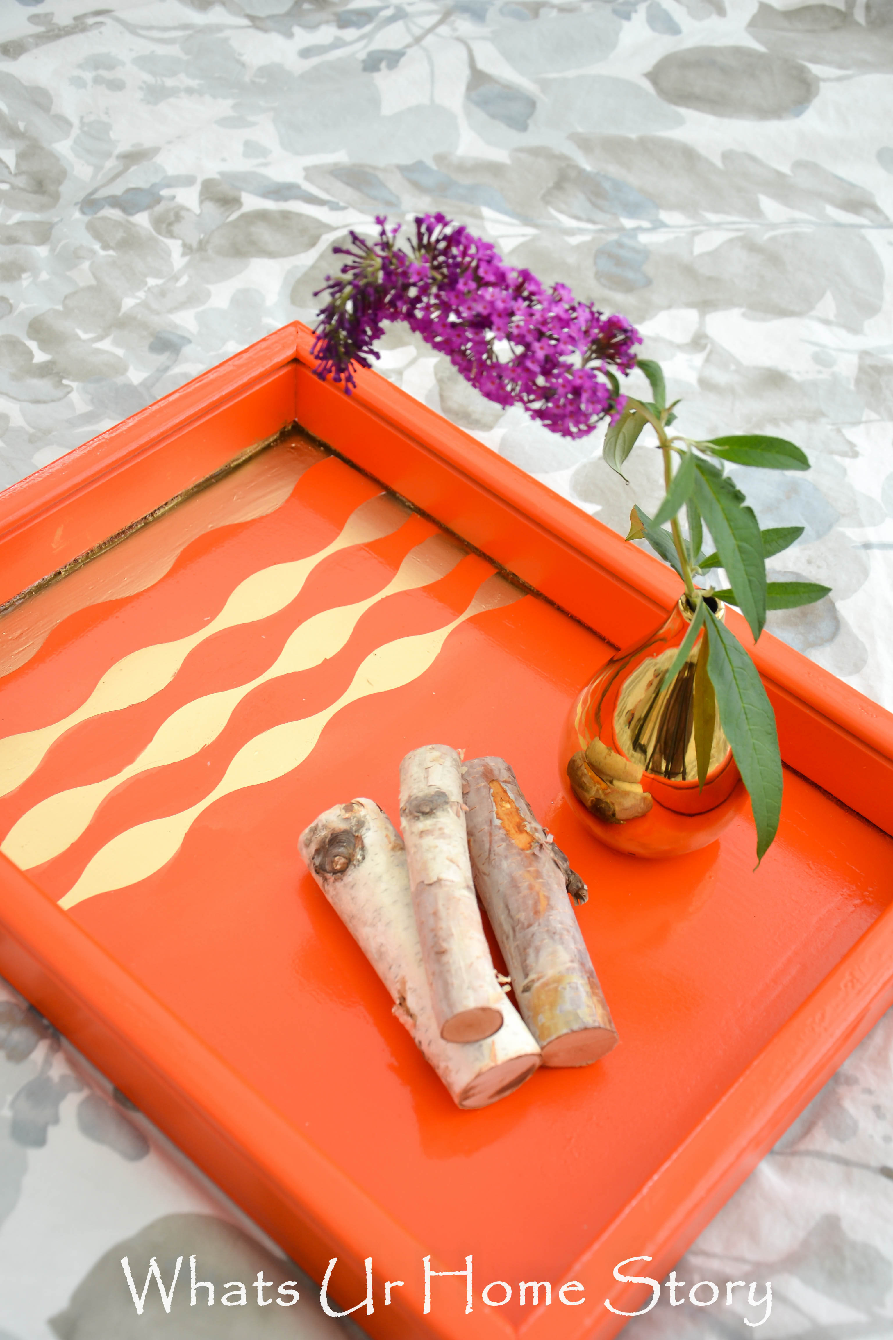 DIY Tray Makeover Using Paint Tutorial