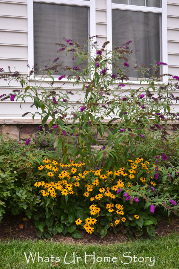 Back Yard Garden 2014