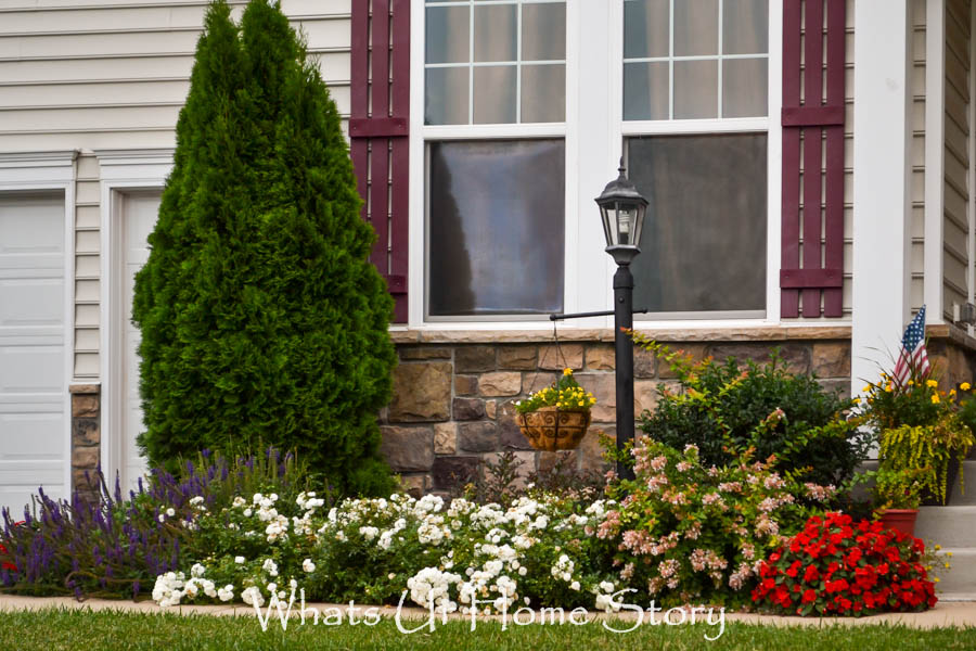 Our Summer Front Yard