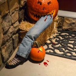 Pinspiration   Pumpkin Decorating