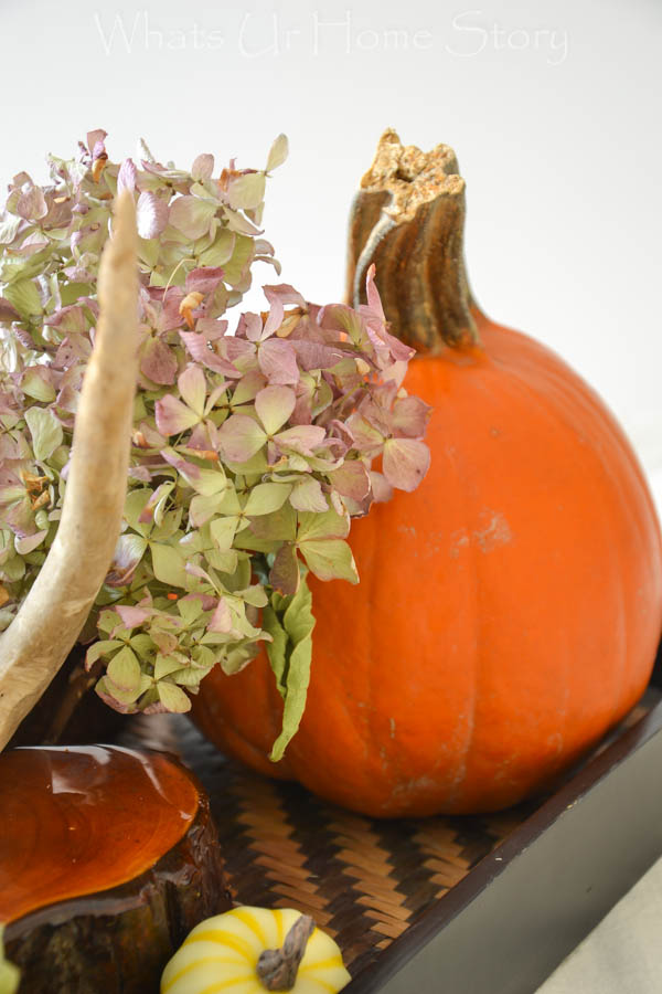 Fall Harvest Centerpiece