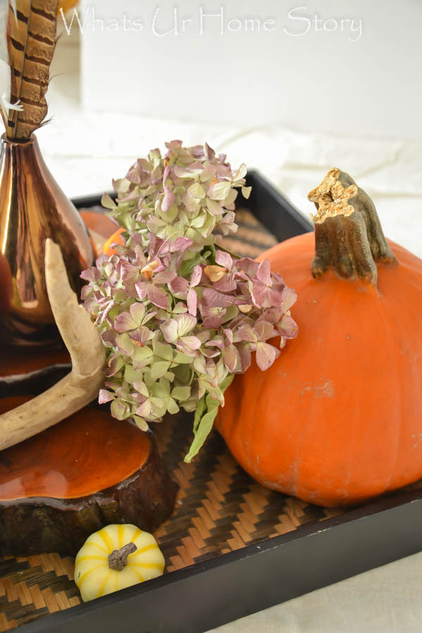 Fall Harvest Centerpiece