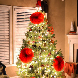 How to Hang Christmas Tree Lights
