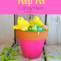 Peep Pot Candy Nest