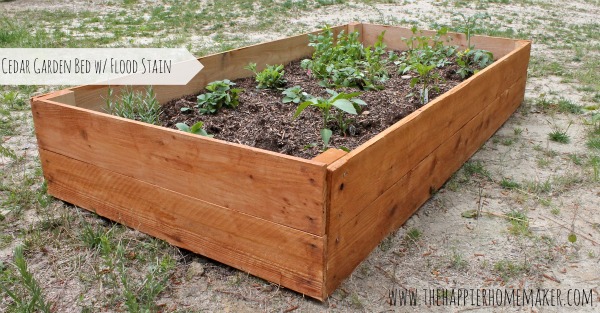 The Raised Garden Bed Promise