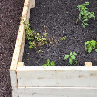 Easy tutorial on how to build a raised garden bed