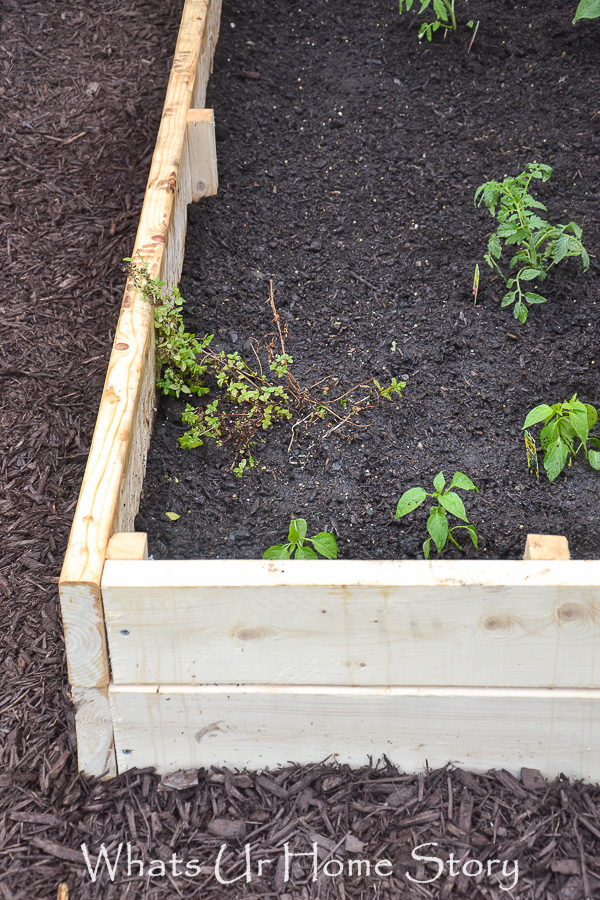 DIY Raised Garden Bed